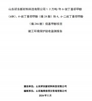 山东祥东新材料科技有限公司1.2万吨/年6-叔丁基邻甲(60K)、4-叔丁基邻甲酚(偏 24 酚)和 4，6-二叔丁基邻甲酚(偏 246 酚)烷基甲酚项目竣工环境保护验收监测报告